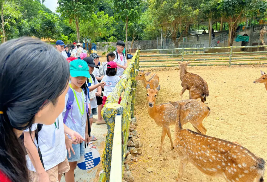 Tour Thác Yang Bay 1 Ngày