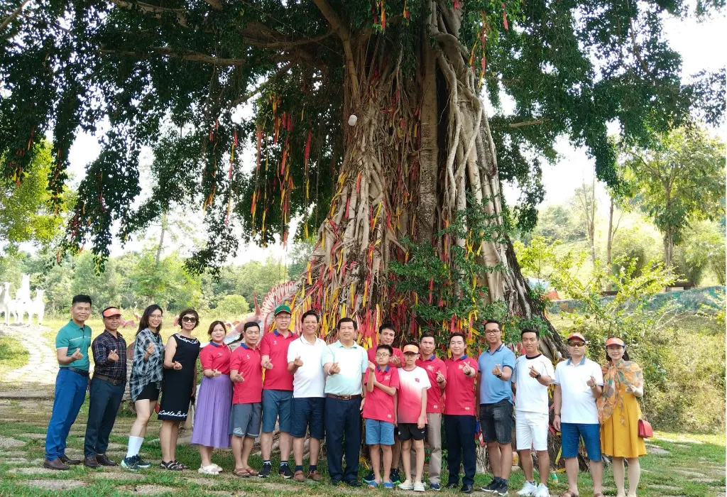 Tour Thác Yang Bay 1 Ngày