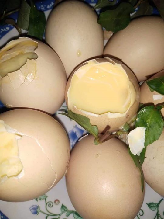 trứng vữa trứng tan ở nha trang