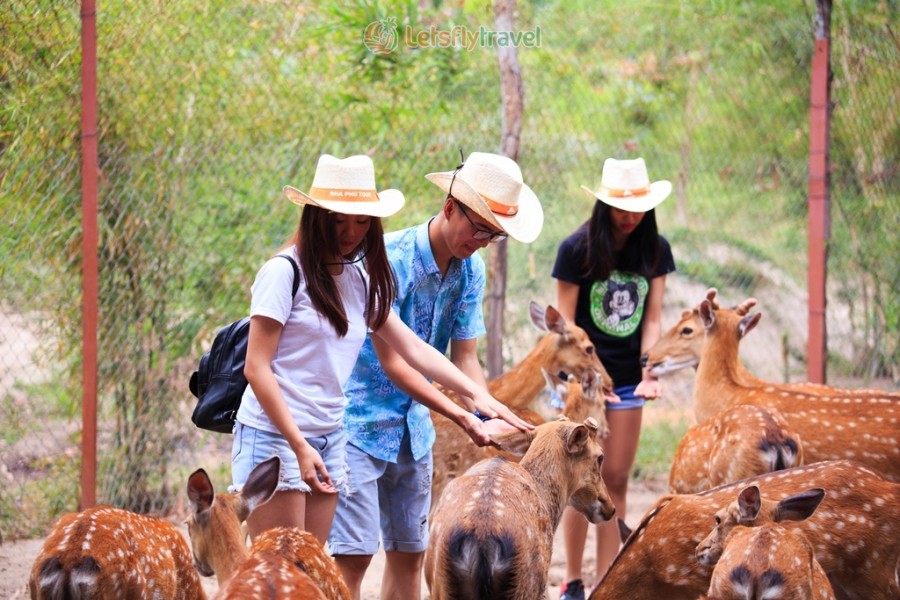 Tour Nha Trang - Vịnh Nha Phu 4 Ngày 3 Đêm