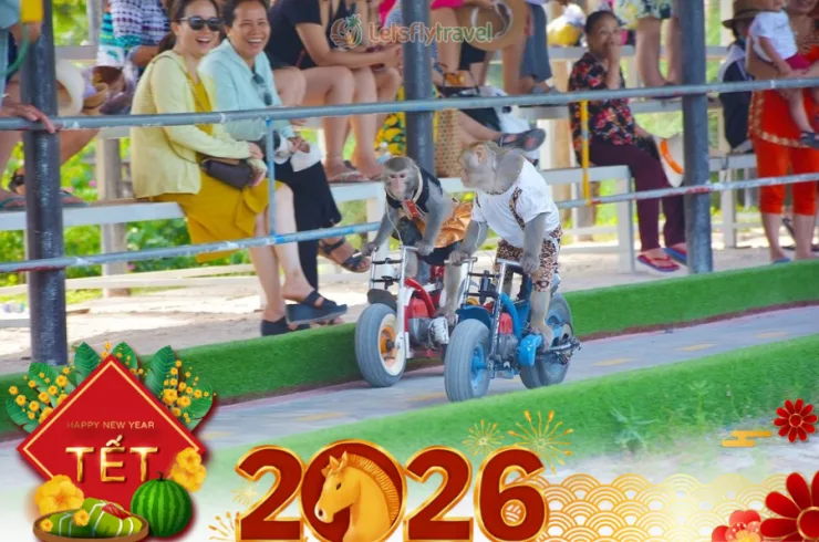 Tour đảo Khỉ Nha Trang 1 ngày