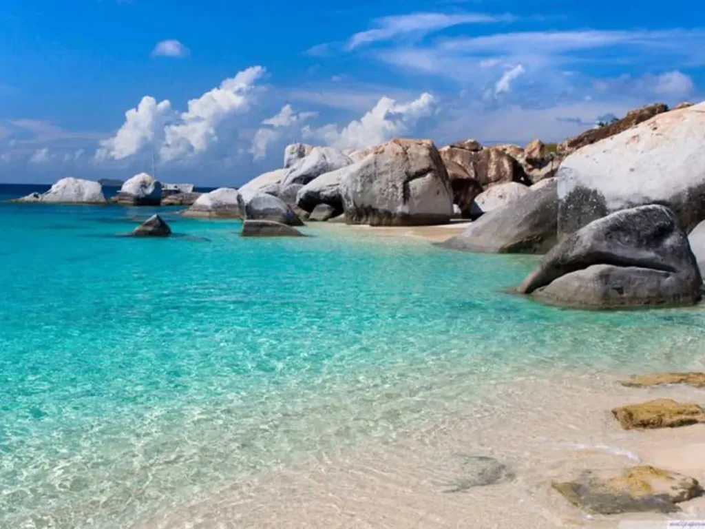 Tour Cù Lao Xanh 1 Ngày: Chinh Phục Hòn Ngọc Biển Đông Quy Nhơn