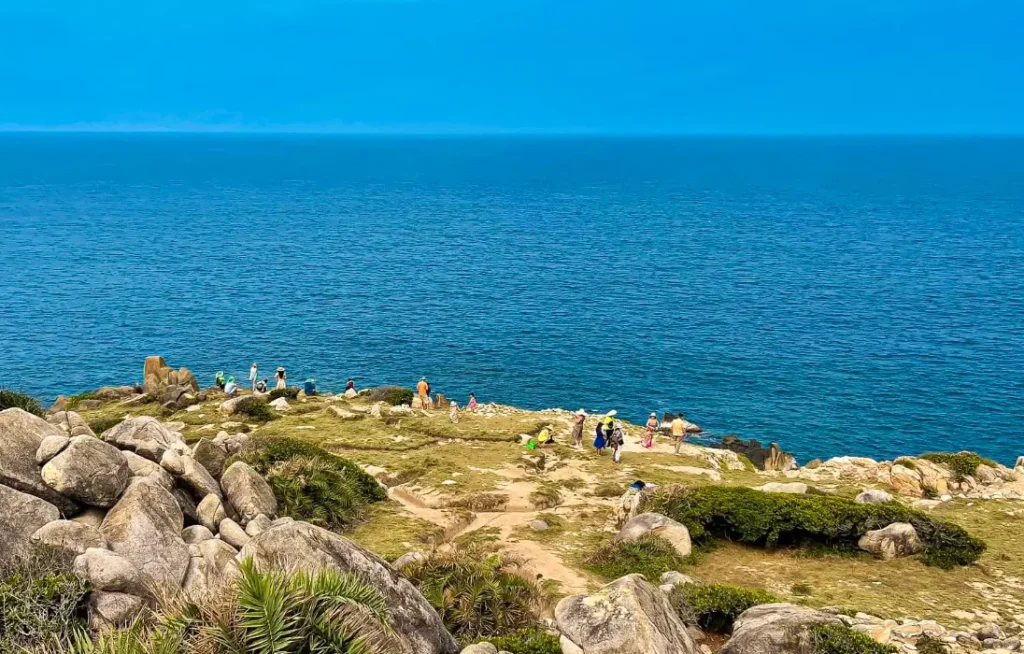 Tour Cù Lao Xanh 1 Ngày: Chinh Phục Hòn Ngọc Biển Đông Quy Nhơn