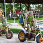 monkey island nha trang tour