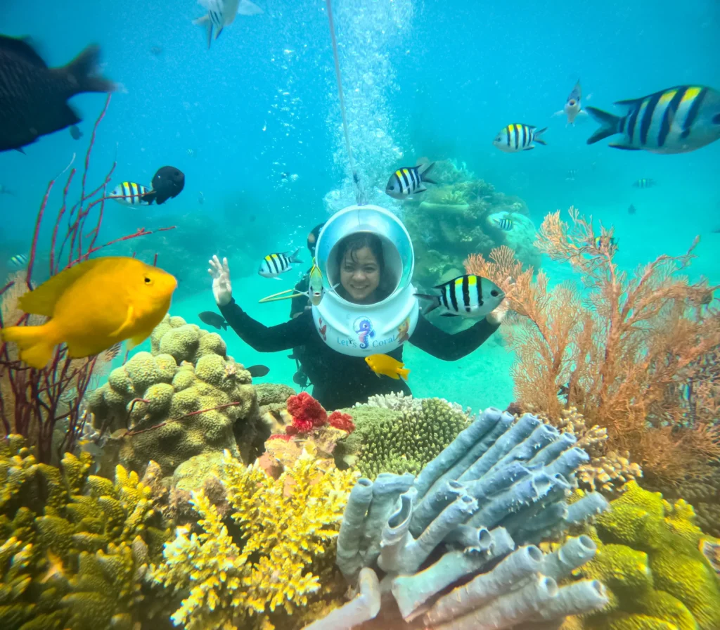 Tour sea walking Con Sẻ Tre Nha Trang