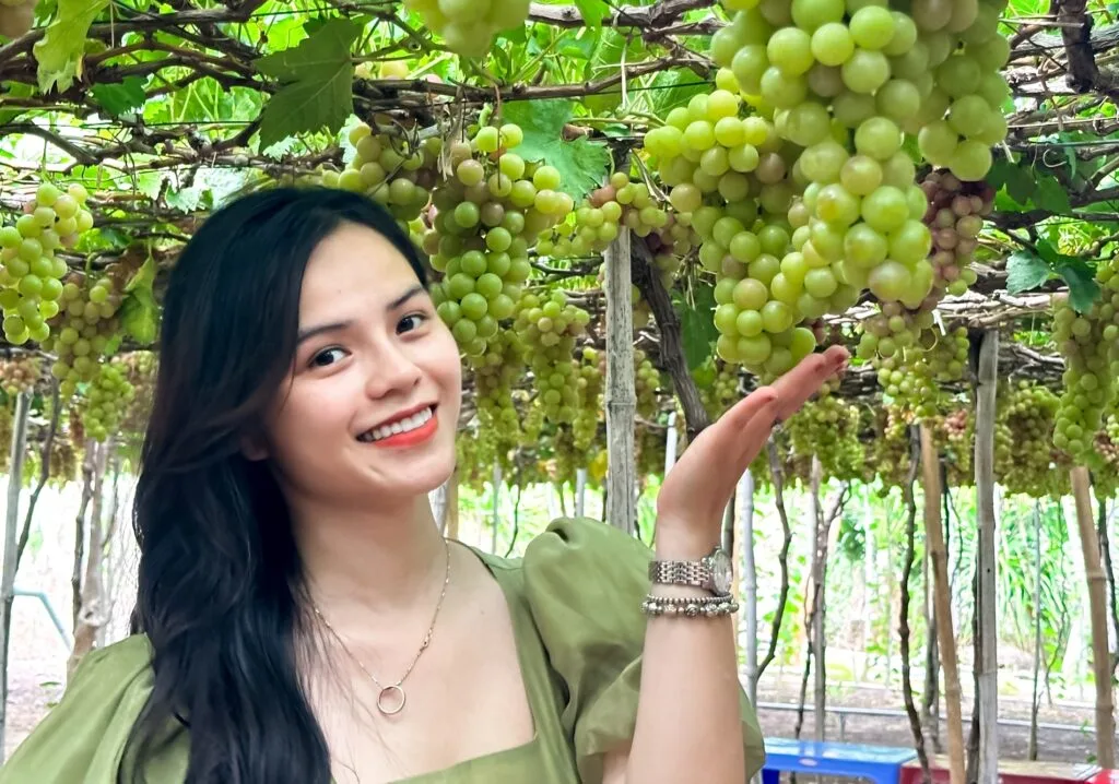 Tour Phan Rang – Ninh Thuận 1 ngày