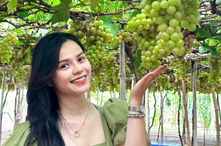 Tanyoli – Hang Rai – Ninh Thuan Grape Garden 1 day tour