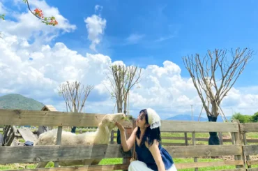 Đồng cừu suối Tiên – Check in đẹp như trời Tây