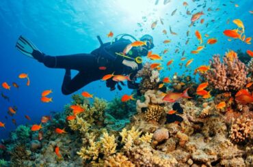 Tất tần tật về lặn Snorkeling và Scuba Diving cho người mới