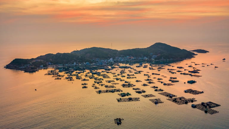 Thời điểm lý tưởng để đi tour Bình Hưng 2 ngày 1 đêm là từ tháng 3-9 hàng năm