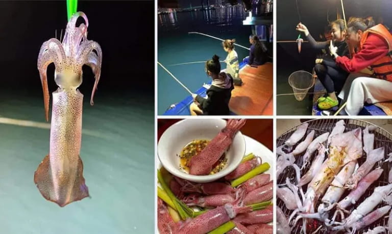 Du khách cần lưu y 1 vài điều khi đi tour câu mực đêm để trải nghiệm được trọn vẹn