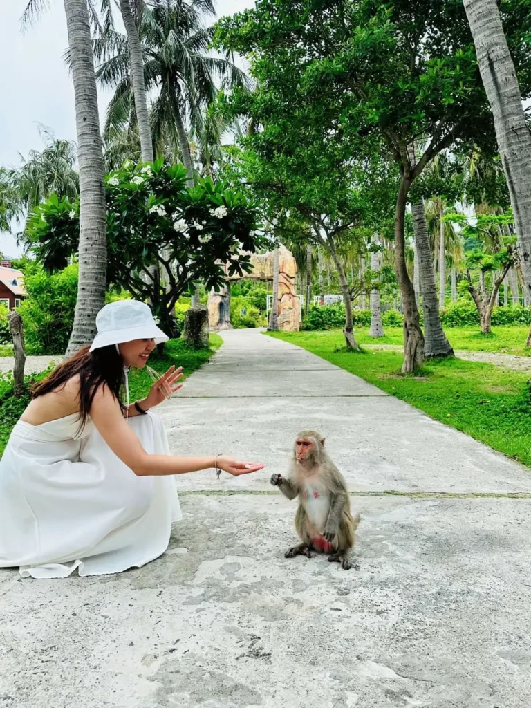 Tour đảo Khỉ Nha Trang 1 ngày