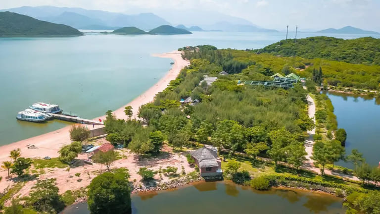 Đảo Khỉ - Vương Quốc Khỉ Giữa Vịnh Nha Phu