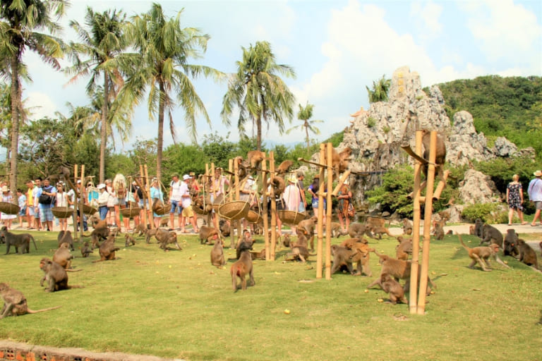 Đảo Khỉ Nha Trang