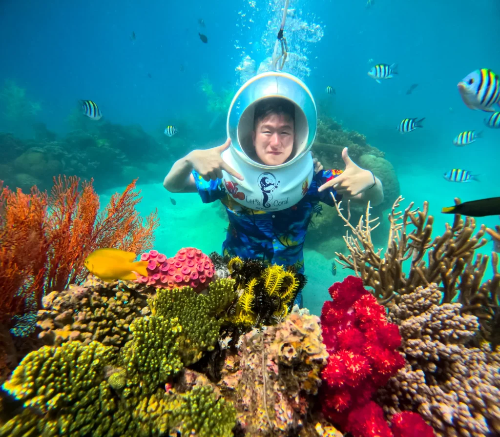 Tour sea walking Con Sẻ Tre Nha Trang