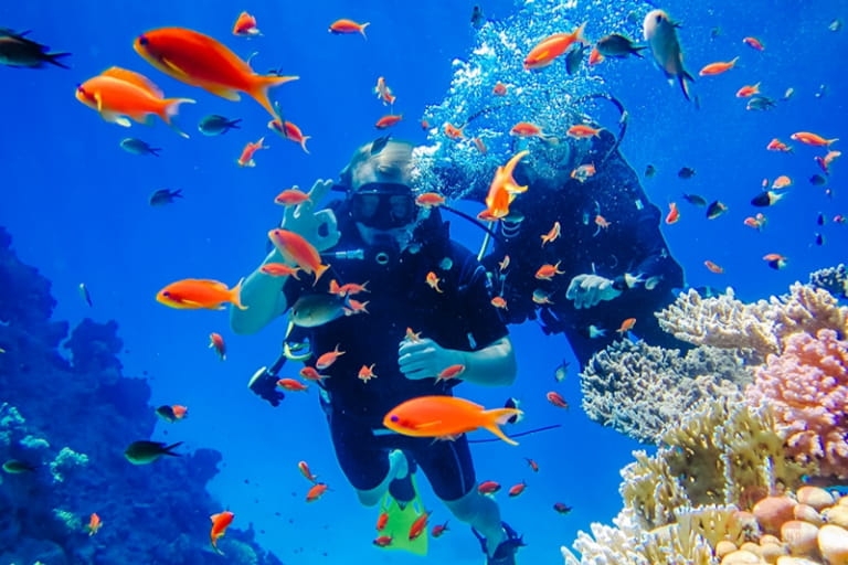 Với chi phí phải chăng, lặn ngắm san hô ở Nha Trang là hoạt động phù hợp với nhiều du khách.