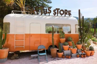 Crazy House Đà Lạt – “Ngôi nhà điên” khiến du khách ngỡ ngàng