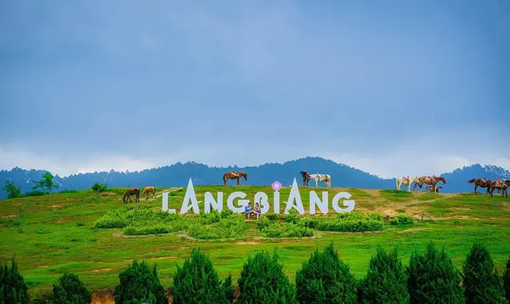 Dalat Cultural Discovery Tour: Puppy Farm – Langbiang Mountain