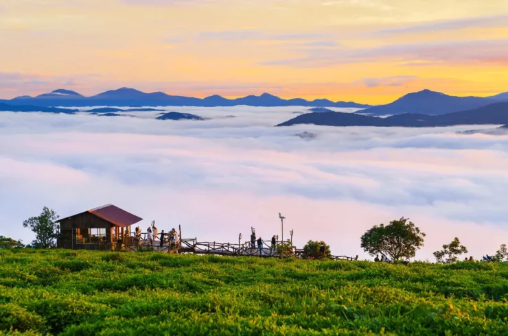 Dalat cloud hunting tour captivates the hearts of many tourists