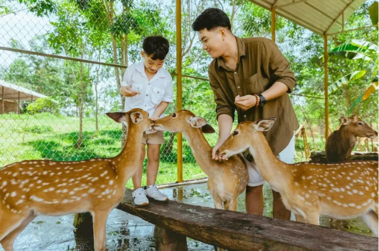 Tour thác Yang Bay 1 ngày