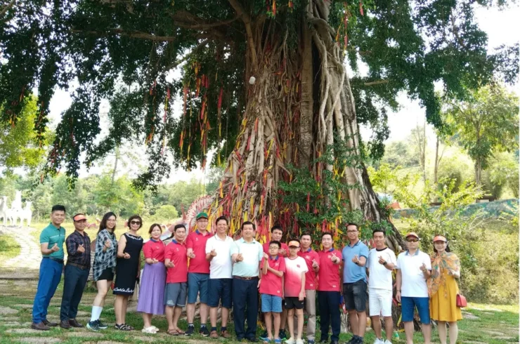 Tour thác Yang Bay 1 ngày