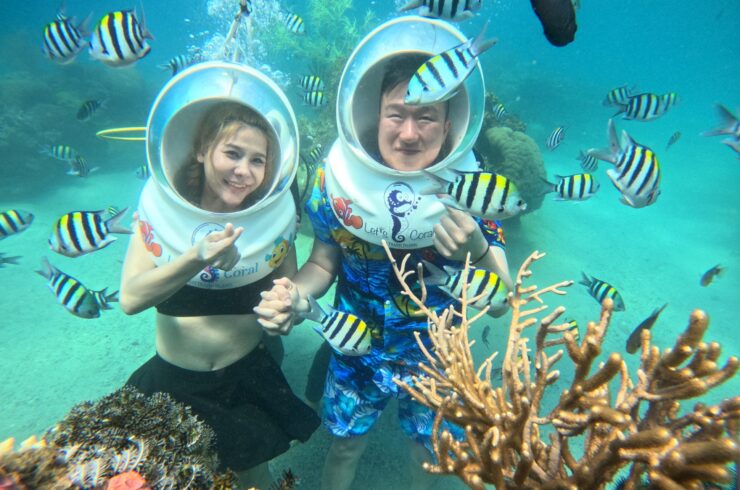 Tour sea walking Con Sẻ Tre Nha Trang