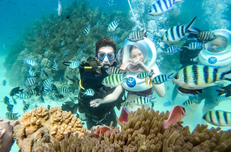 Tour đi bộ dưới đáy biển Nha Trang