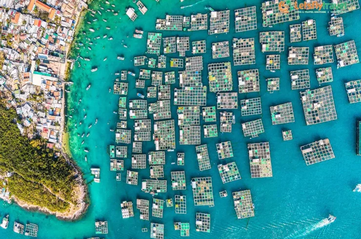 Tour đi bộ dưới đáy biển Nha Trang