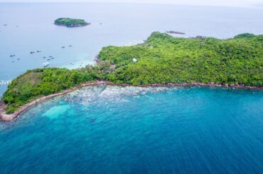 Top 8 món ăn đặc sản Nha Trang