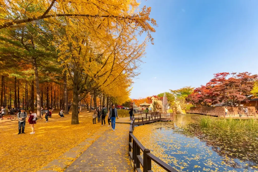 TOUR HÀN QUỐC – SEOUL – NAMI – EVERLAND 5N4Đ THÁNG 9,10,11