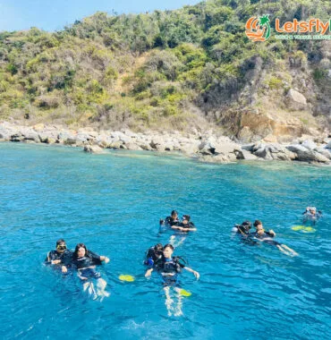 Ngắm đại dương đầy màu sắc với rạn san hô và hàng trăm loài cá