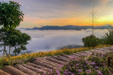 Tour săn mây Đà Lạt: Hành trình chinh phục những đỉnh cao