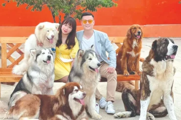 Du Lịch Đà Lạt 3 ngày 2 đêm: đi đâu, chơi gì?