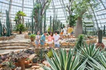 Review chi tiết Vườn Châu Phi – VinWonders Nha Trang