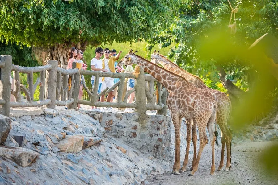 Tương tác với các loài thú thân thiện tại King’s Garden