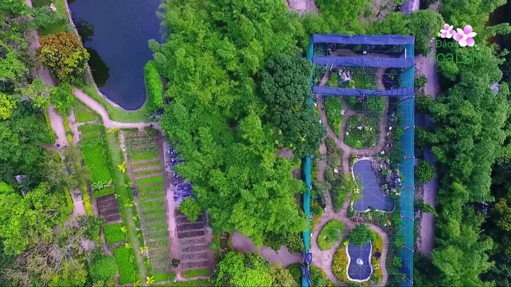 Tour Cắm Trại Ngắm Hoàng Hôn Vịnh Nha Phu