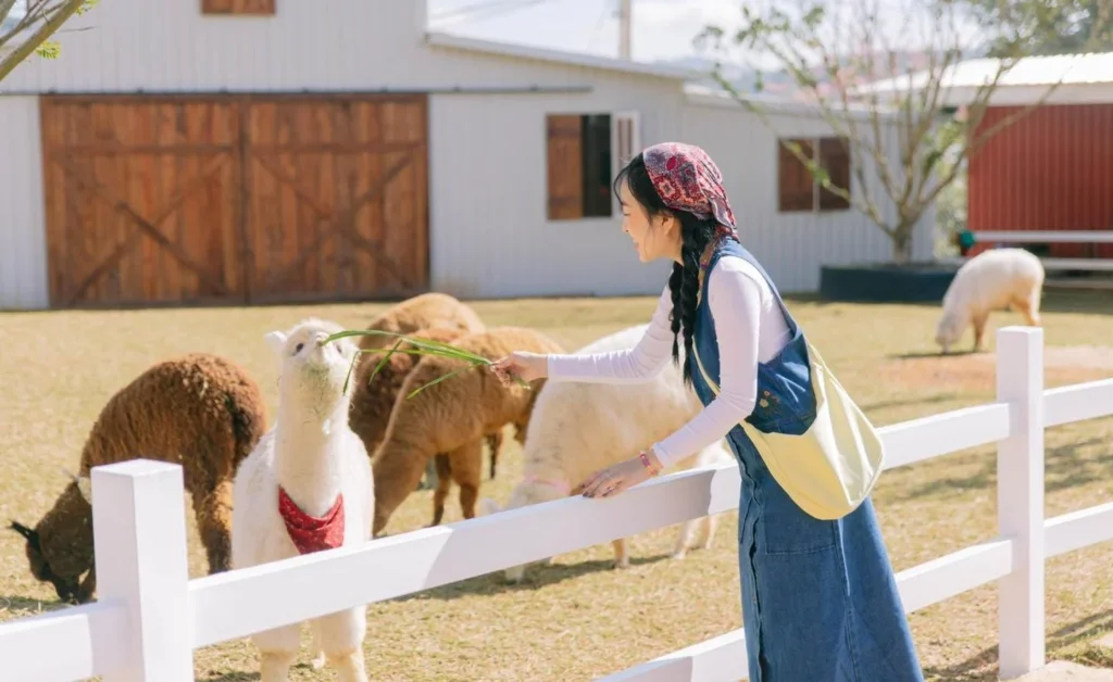 nong-trai-puppy-farm-da-lat