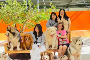 Mách bạn 20 địa điểm du lịch Đà Lạt SIÊU HOT 2025