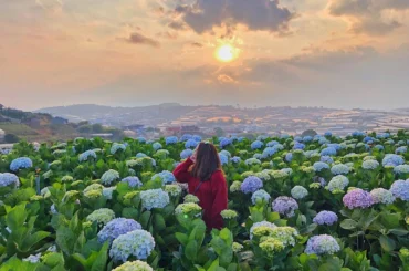 da lat 3 days 2 nights tour