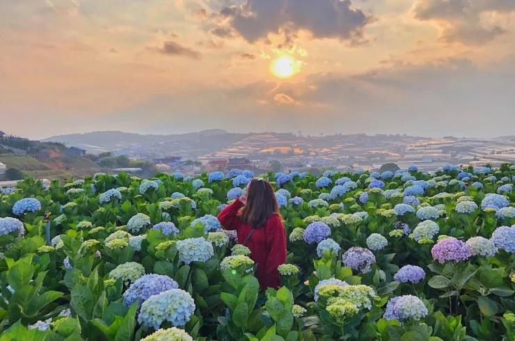 Tour Đà Lạt 4N3D – Đón chiều tiễn tối