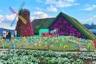 Top 5 địa điểm du lịch Tết 2026 bạn nên đi