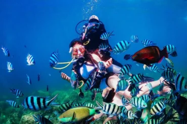 Không cần biết bơi nhưng vẫn khám phá Đại Dương