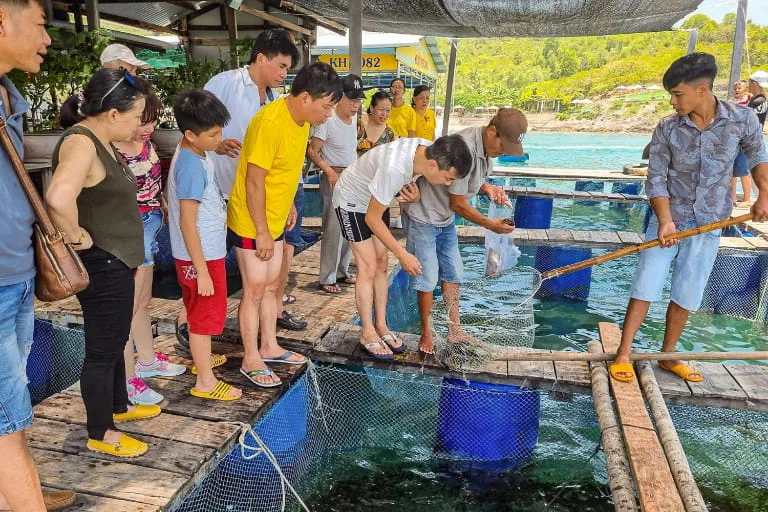 Du khách được trực tiếp vợt bắt hải sản tại bè nổi