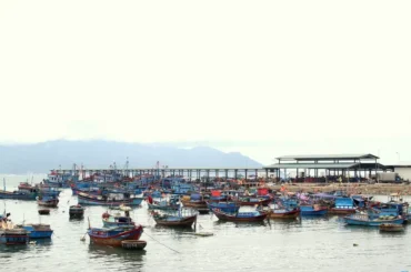 Cảng cá Lương Sơn – Địa điểm mua hải sản tươi giá rẻ tại Nha Trang