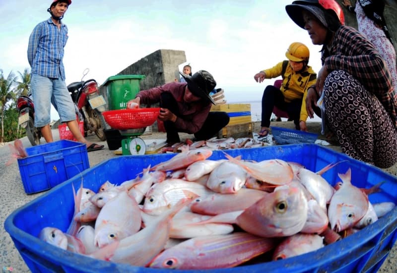 Cảng cá Lương Sơn 1