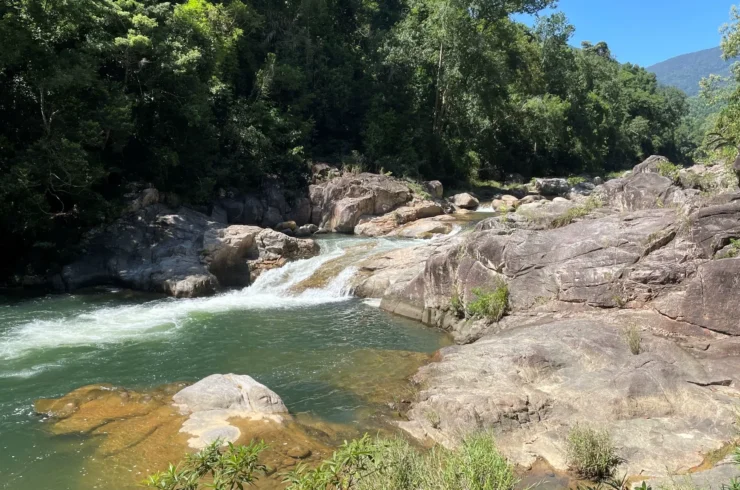 Tour cuộc đua kì thú tại Kong Forest