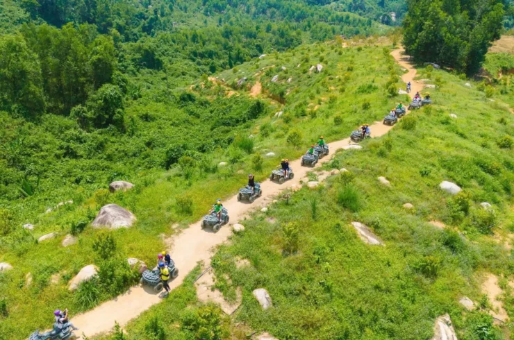 Tour cuộc đua kì thú tại Kong Forest