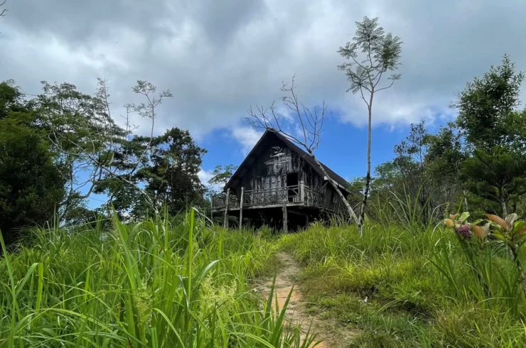 Tour cuộc đua kì thú tại Kong Forest