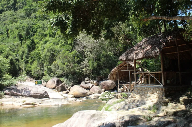 Tour cuộc đua kì thú tại Kong Forest