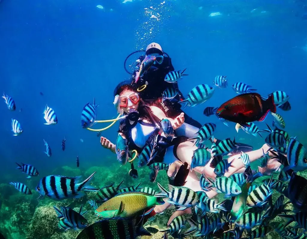 nha trang scuba diving tour
